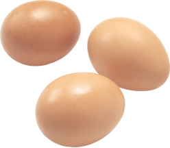 32-eggs-png-image.png